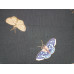 Hand-embroidered Butterflies, Dragonflies & Moths/Black
